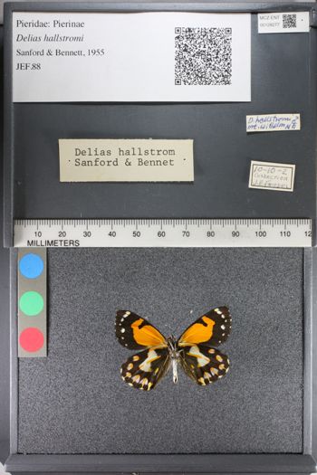 Media type: image;   Entomology 128277
